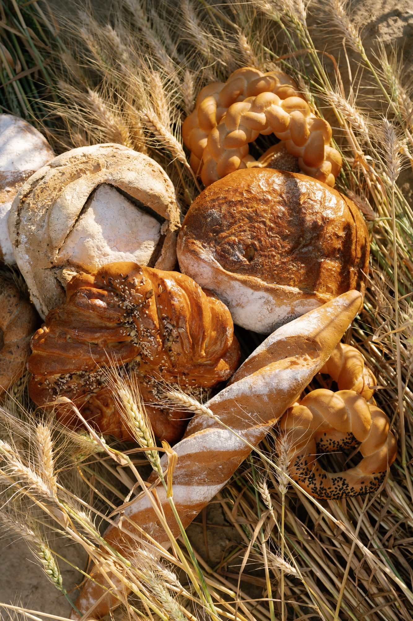 Pâine albă franzelă